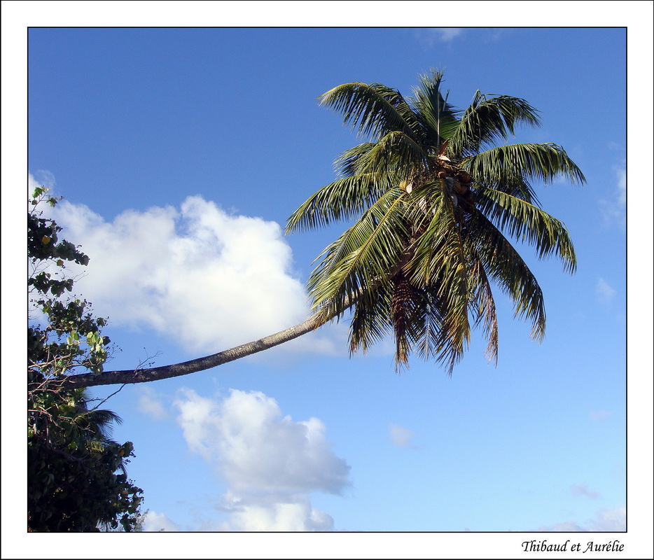 2009 - 08 - Moorea 09